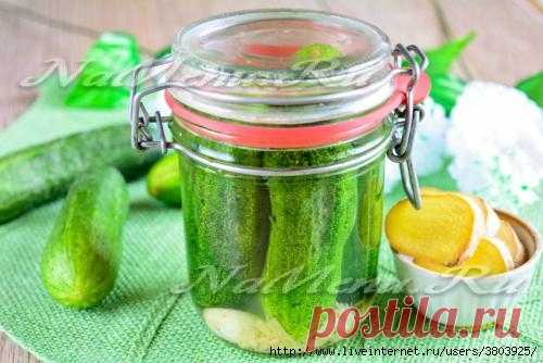 Имбирные огурцы - хрустящие, пикантные, вкусные – не сможете оттянуть за уши