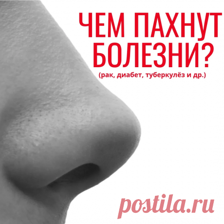 Чем пахнут рак, диабет, туберкулёз и другие болезни ➡ ➡ ➡ | Научпоп. Наука для всех | Яндекс Дзен