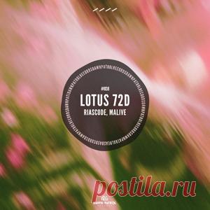 Riascode, Malive - Lotus 72D | 4DJsonline.com