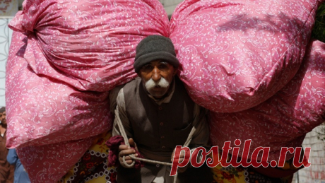 Старая еврейская притча о счастье детей Однажды, по узкой извилистой тропинке шел старый ребе. Шел он неспеша, операясь на трость и радуясь каждому мгновению жизни. Тут навстречу ему попался