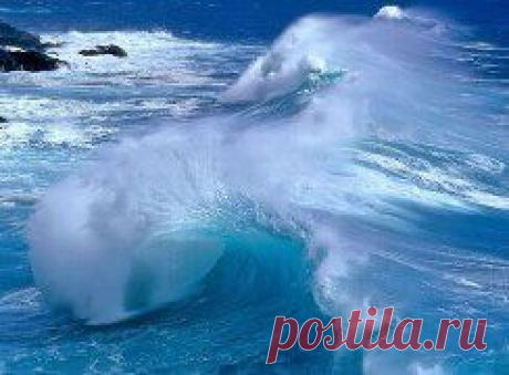 Чисто Поржать [ORIGINALL]. Добавлены 7 фотографий в альбом красота рядом с нами.....