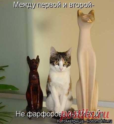 Вписался!