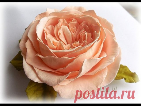 Мастер-класс: Пионовидная роза из фоамирана
#handmade #FoamFlowers #мастеркласс #фоамиран 
Автор: Алла Шворак 
Источник: https://www.youtube.com/watch?v=xBO5jT4Z-N0