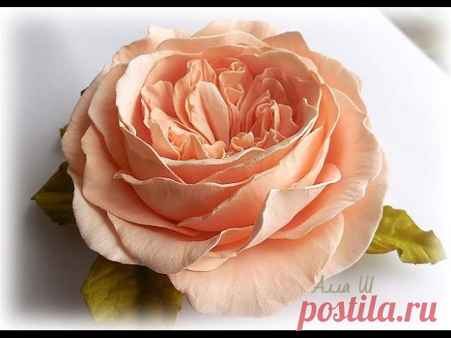 Мастер-класс: Пионовидная роза из фоамирана
#handmade #FoamFlowers #мастеркласс #фоамиран 
Автор: Алла Шворак 
Источник: https://www.youtube.com/watch?v=xBO5jT4Z-N0