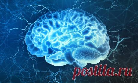 Вячеслав Дубынин «Про мозг и одарённость» Как одарённость человека связана с его мозгом? Увлекательная лекция учёного