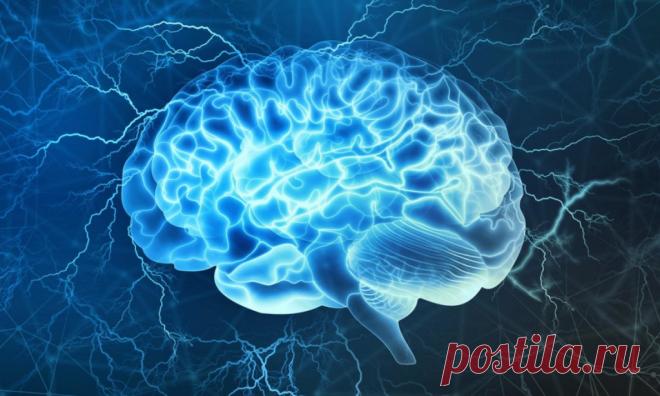 Вячеслав Дубынин «Про мозг и одарённость» Как одарённость человека связана с его мозгом? Увлекательная лекция учёного