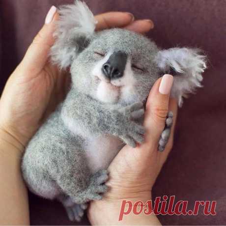 Baby animals ⤵️ - aww post - Imgur