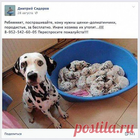10 способов отличить обман в Интернете от просьбы о помощи - &quot;Домохозяйки&quot; - te9172355201@mail.ru - Почта Mail.Ru
