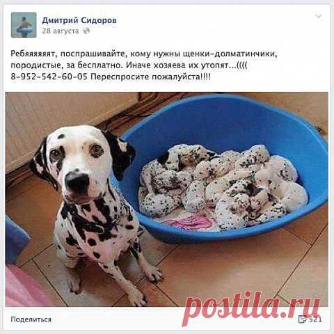 10 способов отличить обман в Интернете от просьбы о помощи - "Домохозяйки" - te9172355201@mail.ru - Почта Mail.Ru