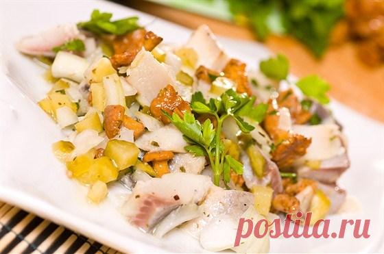 Селедочный салат рецепт – салаты