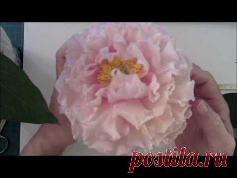 Мастер-класс розовый пион своими руками - Лепка.рф Подробнейший мастер-класс от  Зарифы Пироговой по созданию розового пиона своими руками. Трейлер....
