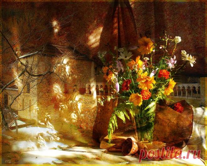 Нежнейшие фотонатюрморты Aни Ивински.