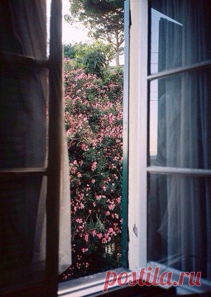 …Сегодня был просто какой-то необыкновенный день. Изумительный просто. Нет, в нем не было никакого экшена, страстей и сложносочиненных сюжетов. Наоборот, он был непривычно спокойным и каким-то даже созерцательным.. Сегодня целый день шел дождь. Тихий и невыразимо прекрасный. Давно забытое чувство спокойствия и умиротворения, когда вот так можно целый день сидеть дома и просто смотреть на дождь. На серебро, льющееся с неба, пить мятный чай, петь душой тихие песни, наслаждаться шумом дождя.…