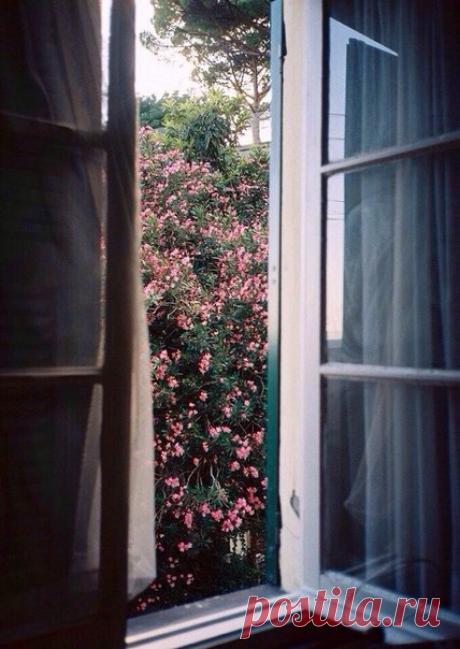 …Сегодня был просто какой-то необыкновенный день. Изумительный просто. Нет, в нем не было никакого экшена, страстей и сложносочиненных сюжетов. Наоборот, он был непривычно спокойным и каким-то даже созерцательным.. Сегодня целый день шел дождь. Тихий и невыразимо прекрасный. Давно забытое чувство спокойствия и умиротворения, когда вот так можно целый день сидеть дома и просто смотреть на дождь. На серебро, льющееся с неба, пить мятный чай, петь душой тихие песни, наслаждаться шумом дождя.…