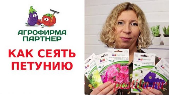 КАК СЕЯТЬ ПЕТУНИЮ
