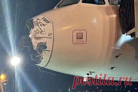 Попавшему под град с грозой самолету оторвало носовую часть. Рейс LA1325 попал в суровые погодные условия во время полета из Сантьяго-де-Чили в Асунсьон: самолет потерял носовую часть, а на лобовом стекле лайнера появились трещины. Также у воздушного судна отказал один из двигателей. Очевидцы записали обстановку на борту на видео.