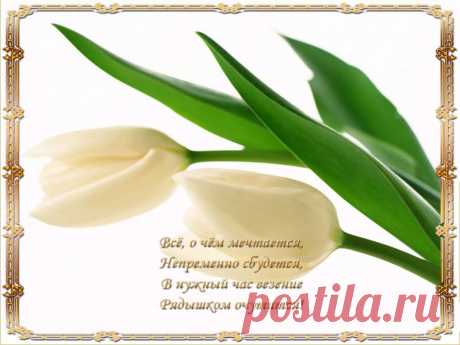 Открытка_22