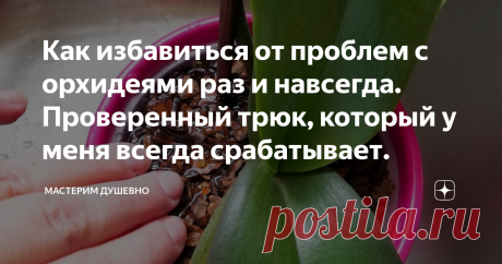 Как избавиться от проблем с орхидеями раз и навсегда. Проверенный трюк, который у меня всегда срабатывает. Делюсь ценным опытом правильного ухода за орхидеями. Обходим подводные камни. Только то, что вам действительно нужно знать об орхидеях. Этот метод подарит вам годы удовольствия от лицезрения их обильного цветения.