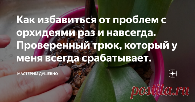 Как избавиться от проблем с орхидеями раз и навсегда. Проверенный трюк, который у меня всегда срабатывает. Делюсь ценным опытом правильного ухода за орхидеями. Обходим подводные камни. Только то, что вам действительно нужно знать об орхидеях. Этот метод подарит вам годы удовольствия от лицезрения их обильного цветения.