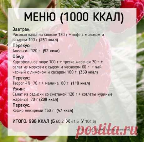 Диета на 1100 калорий Все о методах похудения, фитнес, домашние диеты, правильное питание, диетические рецепты.