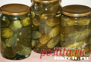 Огурчики по-болгарски | Харч.ру - рецепты для любителей вкусно поесть