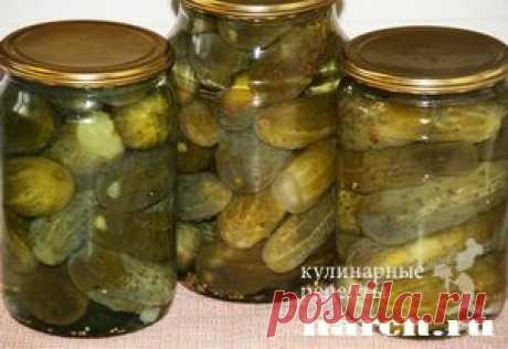 Огурчики по-болгарски | Харч.ру - рецепты для любителей вкусно поесть