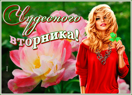 Открытка чудесного вторника с девушкой
