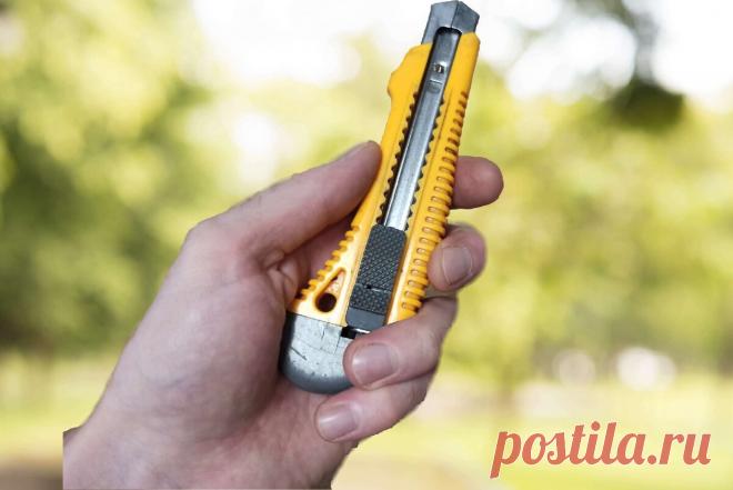 Новое применение канцелярского ножа | Мастерская Палыча | Яндекс Дзен