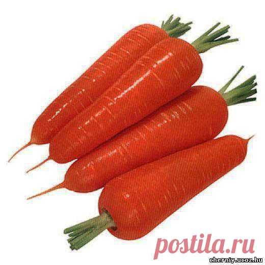 ВАРЕНАЯ МОРКОВКА ПОЛЕЗНЕЕ СЫРОЙ. НЕ ВЕРИТЕ? КАК ОБЪЯСНИТЬ ЭТОТ ПАРАДОКС?
Лето, осень и, значит, мы как никогда едим большое количество свежих овощей прямо с грядки. Многие едят их только в это время, считая, что готовка убивает дары природы наповал: якобы в них не остается ничего полезного. Так ли это? Может быть, об овощах, прошедших тепловую обработку, не стоит забывать даже летом?