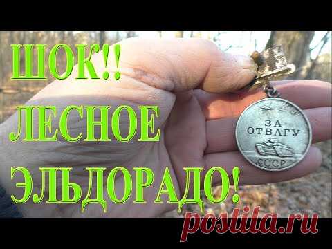 Сегодня снова металлоискатели Эквинокс 800 и XP ORX выдвинулись в лес в поисках хабара! Один из последних предзимних копов, ловим моменты, пока погода позволяет! Что интересно, в этом лесу, как правило, помимо монет мы находим почти на каждом копе какие-то интересные артефакты! Этот лесной коп не был исключением! Был найден просто уникальный артефакт! Всё случилось прямо на завершении копа, уже шли к машине...И тут... ПРОСТО ШОК! Шок лесного Эльдорадо, я бы его назвал! Как это было? Приятного пр