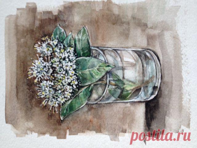 Рисунки Валерии Ревазовой