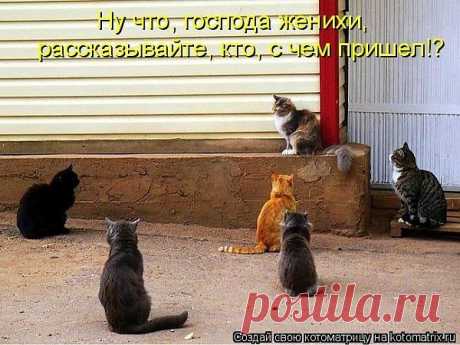 Гулянки на завалинке