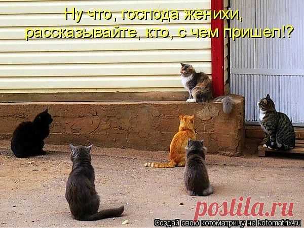 Гулянки на завалинке