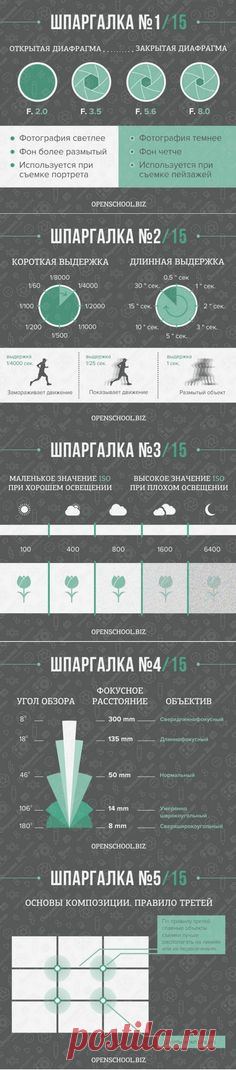 7e93b0424764fc4ff66d4698617f1342.jpg (Изображение PNG, 647 × 2934 пикселов) | Photography tips