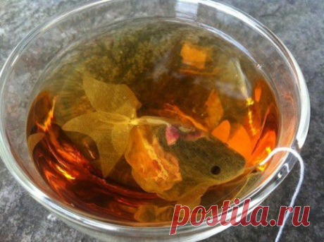 Золотая рыбка в чашке