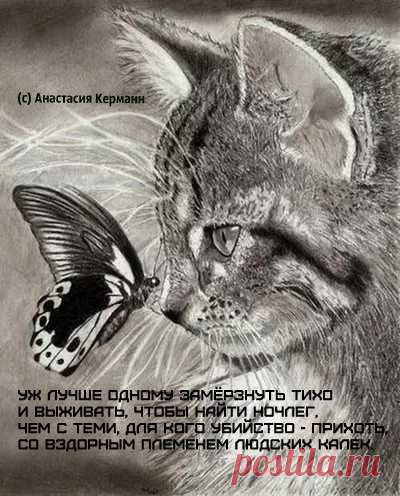 Уж лучше одному замерзнуть тихо 
И выживать, чтобы найти ночлег, 
Чем с теми, для кого убийство - прихоть, 
Со вздорным племенем людских калек. 


© Copyright: Анастасия Керманн, 2016