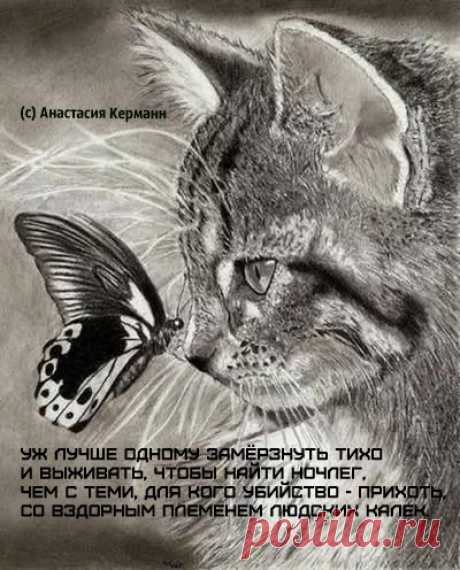 Уж лучше одному замерзнуть тихо 
И выживать, чтобы найти ночлег, 
Чем с теми, для кого убийство - прихоть, 
Со вздорным племенем людских калек. 


© Copyright: Анастасия Керманн, 2016