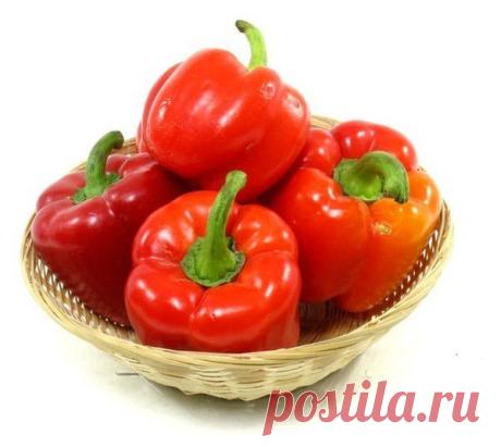 Тропинка к Здоровью - на Мой Мир@Mail.ru