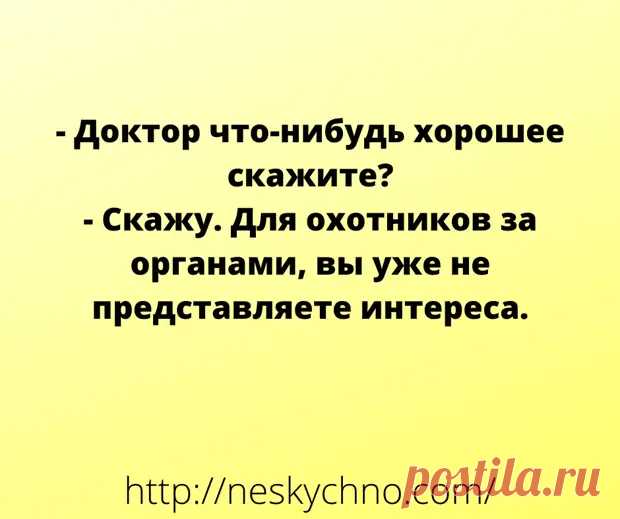 (16) Немного отборных анекдотов для поддержания хорошего настроения - Сказка для двоих - медиаплатформа МирТесен