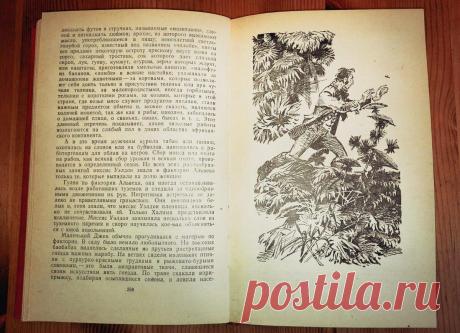 10 сбывшихся предсказаний писателя — фантаста Жюля Верна
Перечитывая книги известного французского писателя Жюля Верна, невольно возникает мысль о гениальном предвидении автора, жившего в девятнадцатом веке: настолько четко сбылись его мечты, описанные в жанре научной фантастики. Как же это могло произойти? Страницы из книги Жюль Верна Страницы из книги Жюль Верна 1. Подводная лодка В знаменитом романе о кругосветном путешествии на необычной лодке, […]
Читай дальше на сайте. Жми подробнее ➡