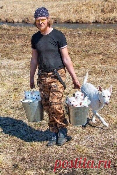 2 ведра счастья | Позитив