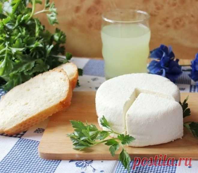 ​Простой домашний сыр