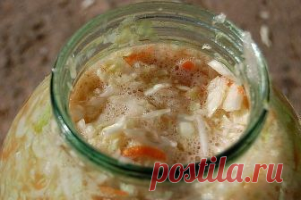 Вкусная хрустящая квашеная капуста в рассоле