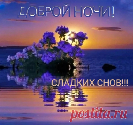 Тебе желаю доброй ночи
И целую нежно в щечку.
Будут сладкими пусть сны
И красивыми, как ты!