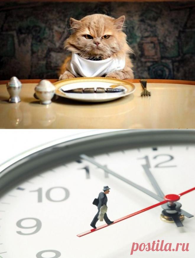 10 правил этикета, которые могут сбить нас с толку в других странах • НОВОСТИ В ФОТОГРАФИЯХ