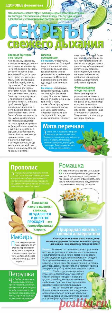 Секреты свежего дыхания