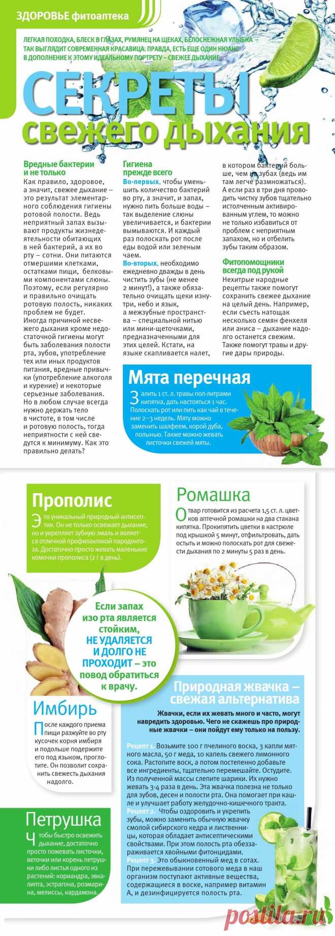 Секреты свежего дыхания
