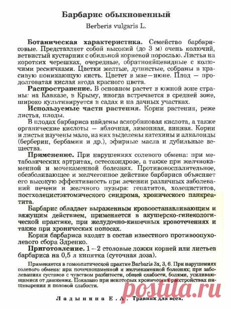 Барбарис обыкновенный