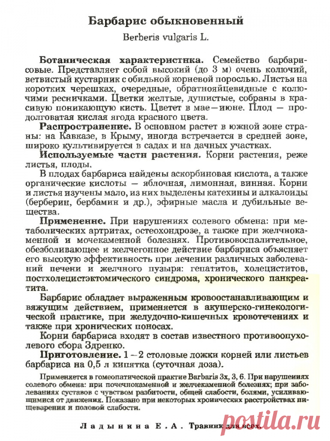 Барбарис обыкновенный