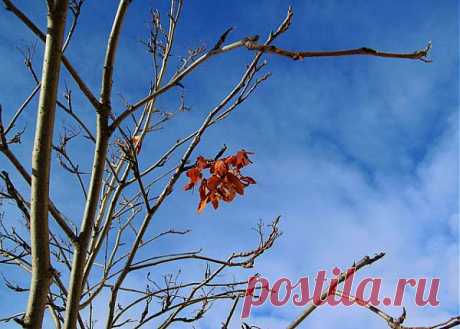 скоро весна